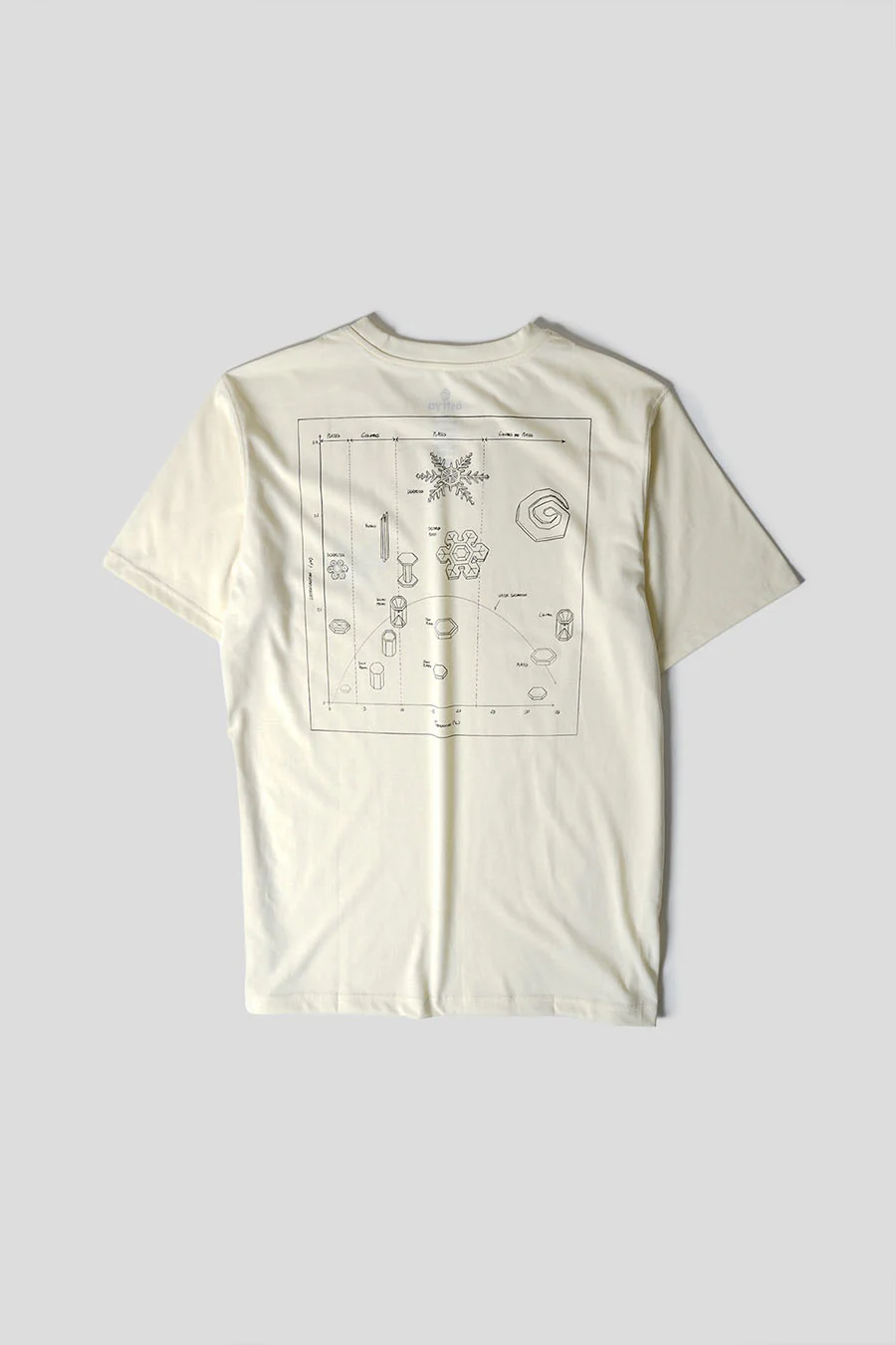 T-SHIRT INFOGRAPHIC EQUI-TEE ECRU - Image 3