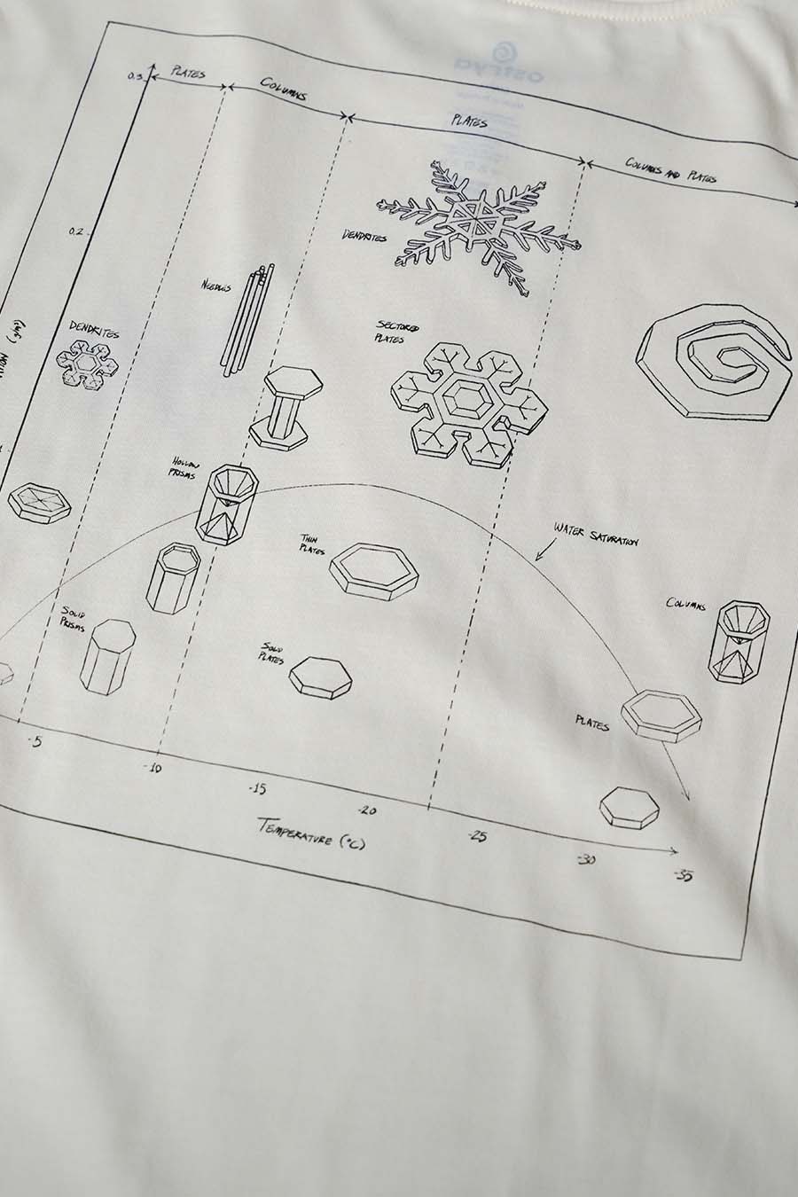 T-SHIRT INFOGRAPHIC EQUI-TEE ECRU - Image 4